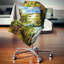 Coussin lombaire Photographie