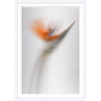 «Screen Safer 1» par Mat Sanders - Photographie d'un seul cadre