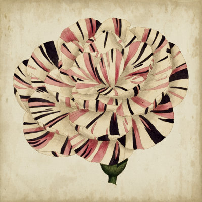 Pop Floral VI by Vision Studio - Wrapped Canvas Painting