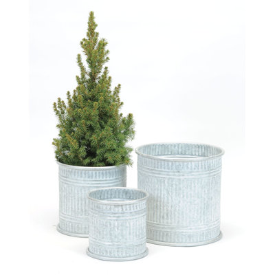 Cache-pot Jametrice