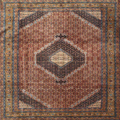 Devillage Oriental Indoor Rug