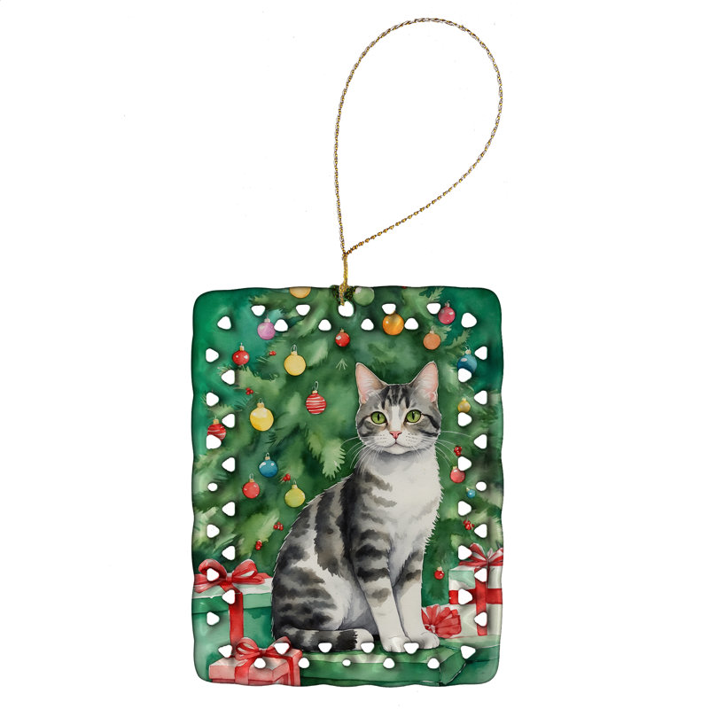 Ornement en porcelaine American Wirehair, Chat American Wirehair
