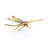 Echo Dragon Fly Objet