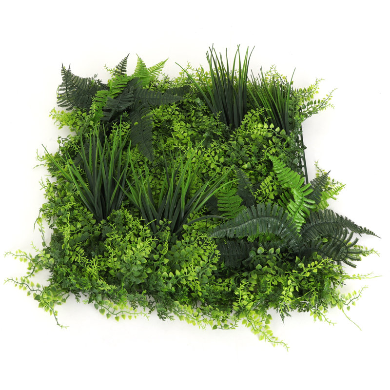 Plante de 20 po, 12