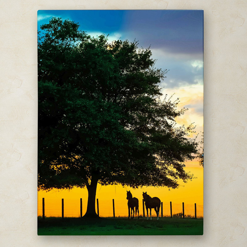 Sunset Horse Photographic Print on Wrapped Canvas