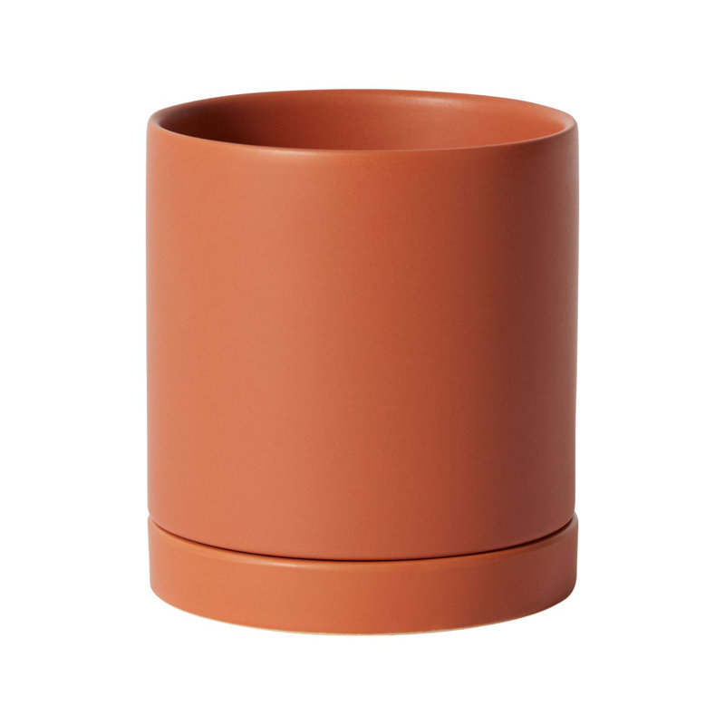 Jardinières en pot, Terra Cotta, H 5,8 po x l 5 po x P 5 po
