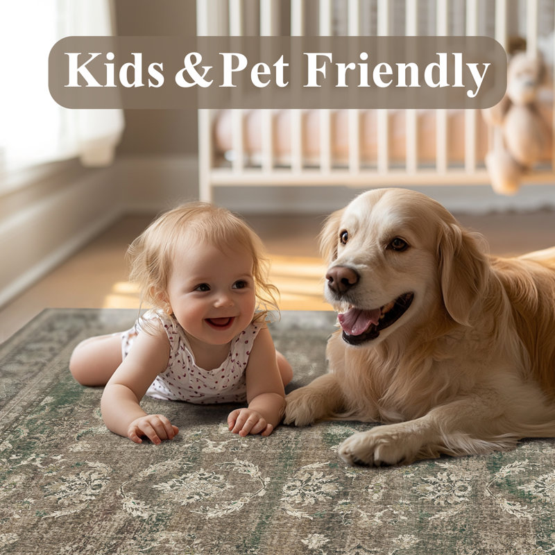 Kitty Machine Washable Oriental Area Rug for Living Room with Non-Slip Backing, Rectangle 8' x 10'