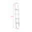 Shamus 180cm H x 36cm W Ladder Bookcase