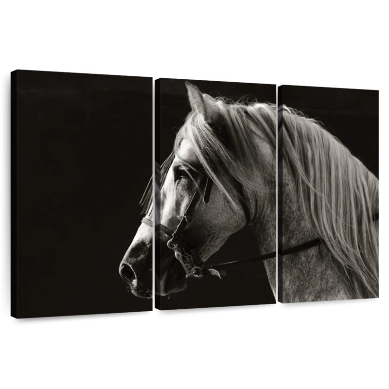 Horse With Long Mane, 36" H x 57" W