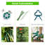 Arlmont & Co. 2PCS Green Cucumber Garden