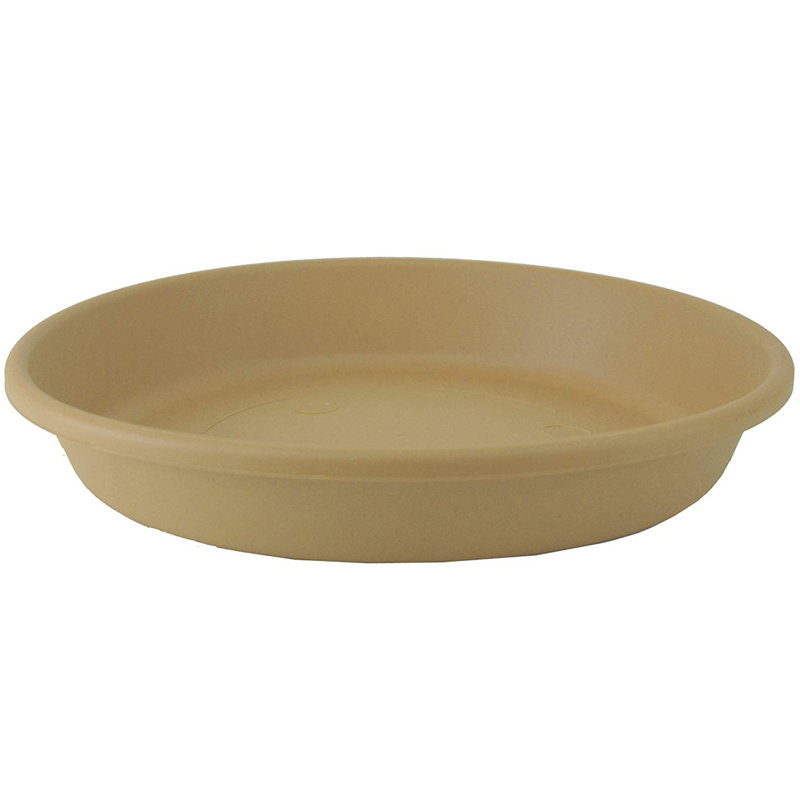 Stone Saucer Plant Stand, 4" H x 25" W x 26" D, 2