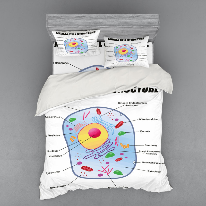 Modern & Contemporary Polyester Duvet Cover, Queen Duvet Cover + 3 Additional Pieces