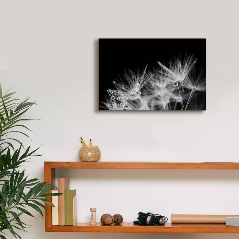 «Dandelion Dewdrops 2» par Laura Marshall, art mural sur toile, H 12 po x l 18 po x P 0,75 po