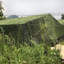 Ortrud Dakota Fields Green Plastic Screen-1655219278