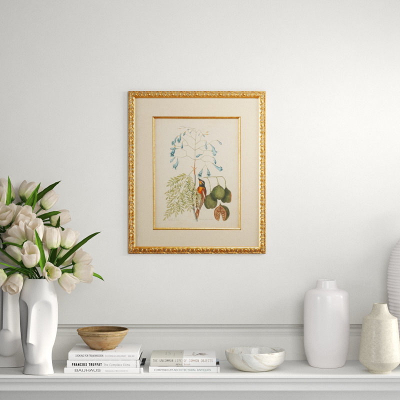 Catesby Bird And Botanical II Print
