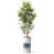 Abstrait vert terre