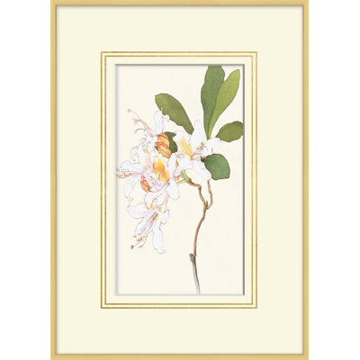 Blooming Study 7 Print