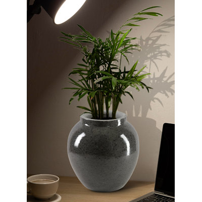 Latitude Run® Mirella Ceramic Black Vase – Glossy Polished Finish With Unique Spotted Texture, Elegant Home Decor For Floral Arrangements And Events, 10" Diameter & 11" Tall