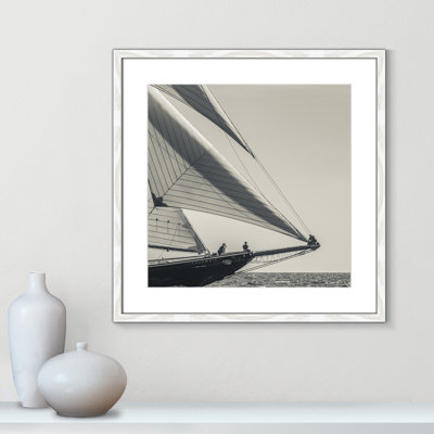 Amaryl Catching the Sea Breeze by Danita Delimont - Picture Frame Photograph