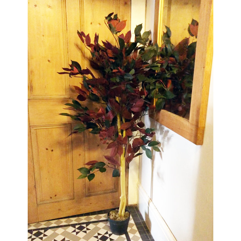 Annistyn 120cm Faux Ficus Tree in Pot, Black