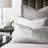 Kolette Cotton Sham-70686916
