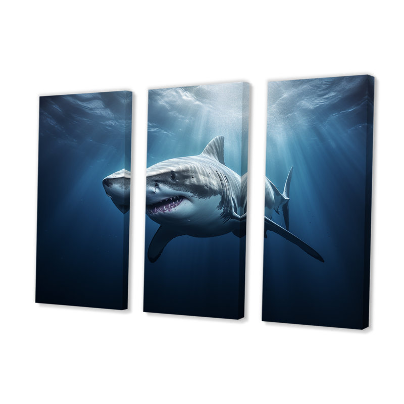 Océan, requin fantôme bleu, photographie, requin, H 28 po x l 36 po