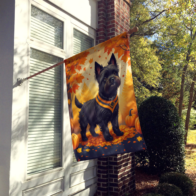 Drapeau de maison noir Cairn Terrier