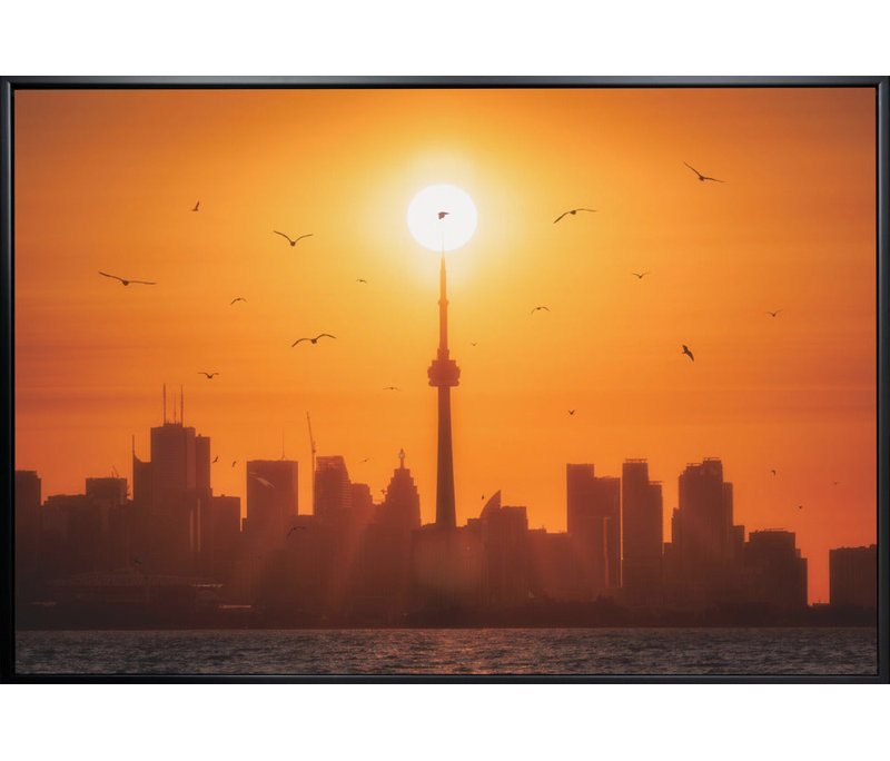 Soleil levant derrière Toronto-Art mural, Ne s’applique pas, H 36,5 po x l 24,5 po, Impression sans cadre