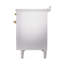 ILVE Nostalgie II 48 in Induction Range-2036211047