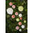 Maria Flor Dessert Plate Hollyhock