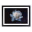 Blue Magnolia Flower in Abstract - Picture Frame Graphic Art Print-55687154-55687153
