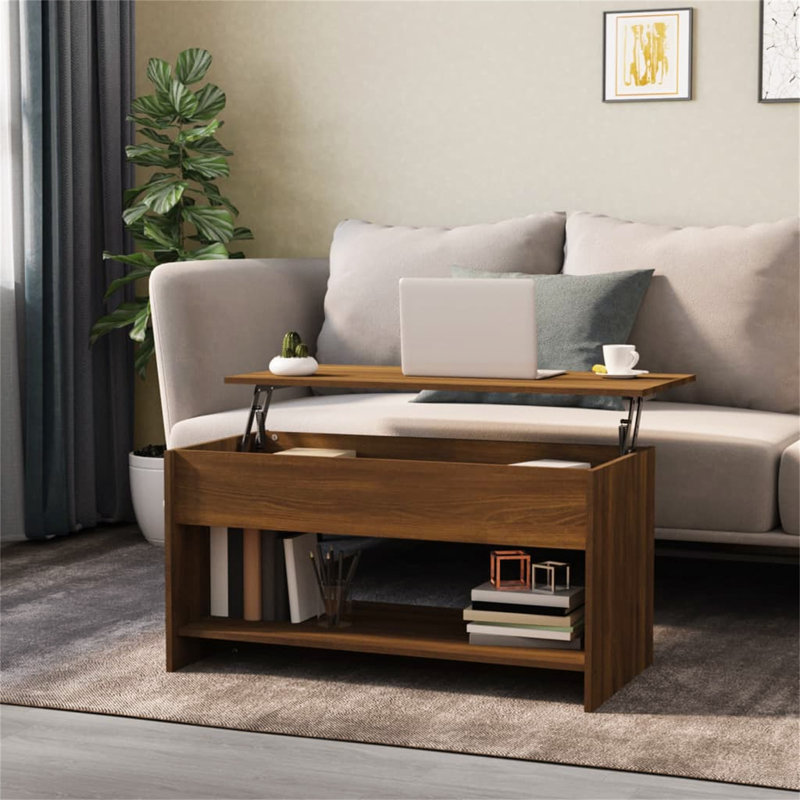 Jarosłav Frame Coffee Table with Storage, Brown