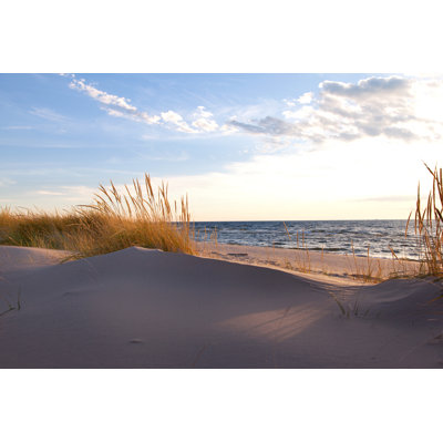 Beachgrass, Michigan, USA par Csterken - Photographie sur toile tendue