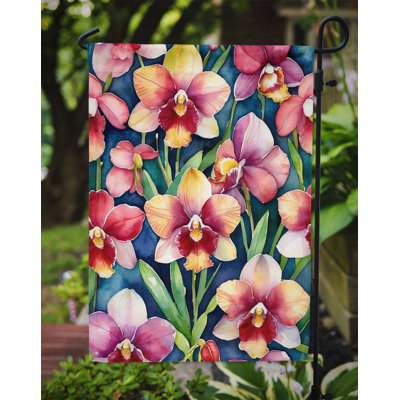 Orchidées paphiopedilum, drapeau du jardin