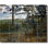 Carreau de céramique 21,25 po x 17 po 4,25 po x 4,25 po