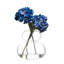 Eclipse - Vase - Transparent