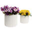 Ensemble de 2 pots à fleurs en céramique Nicolaus-2081687876