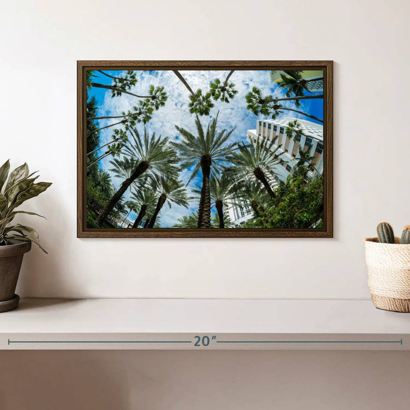 Palmiers de Miami, 13 po x 9 po, Cadre flottant en noyer