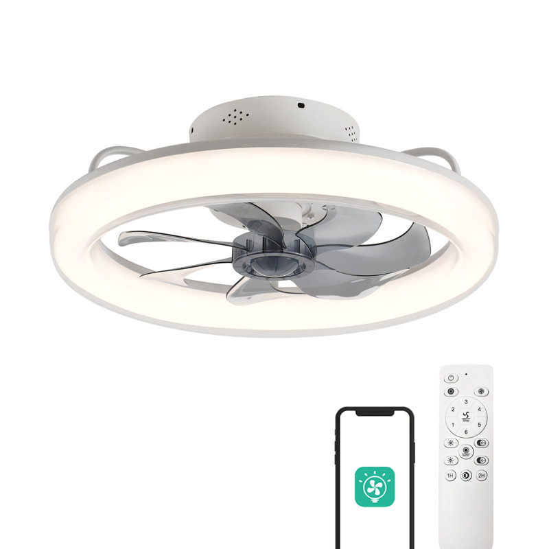 20.5'' Ceiling Fan with LED Lights