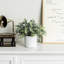 Faux eucalyptus buis en pot de ciment blanc