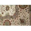 Oriental Area Rug