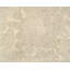 Effervescence Polka Dots Area Rug in Neutral/White-40706242