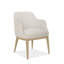 Upholstered Arm Chair