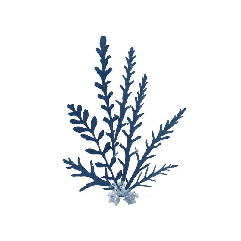Pacific Sea Mosses Blue On White III by Wild Apple Portfolio - Wrapped Canvas Gallery-Wrapped Canvas Giclée