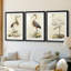 Antique Heron I - reproduction sur mesure encadrée de qualité supérieure - 3 pièces-339623390-339623388