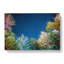 Stars Above A Colourful Forest In Abstract - Wrapped Canvas-55339498