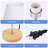 Delaris Table Lamp