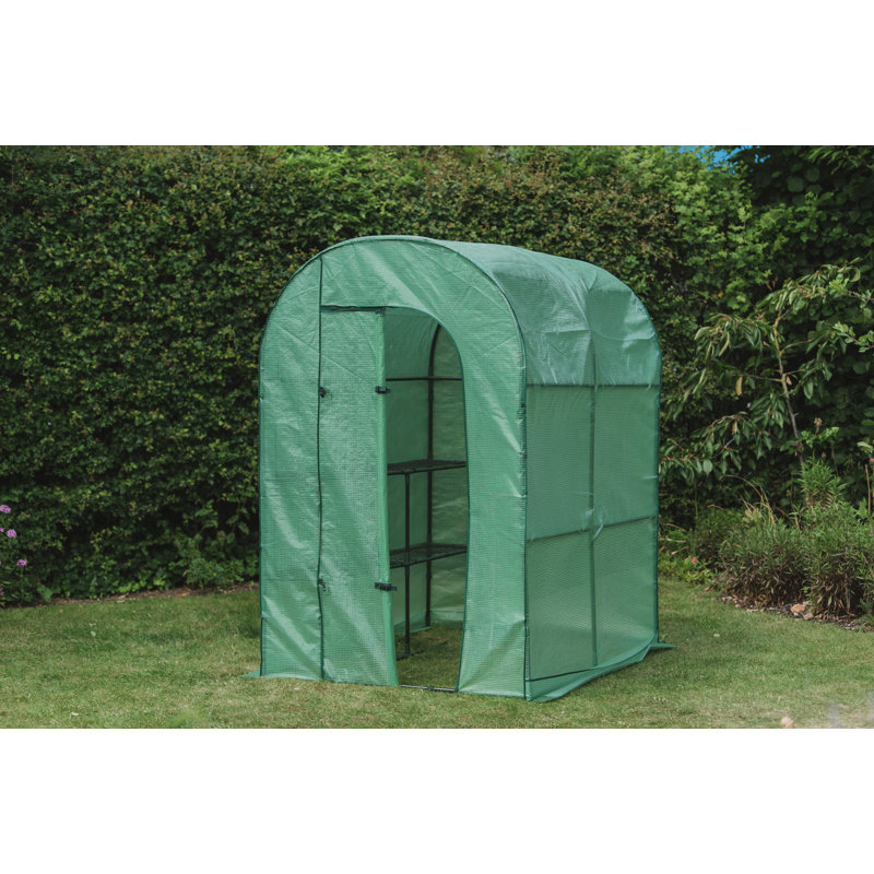 Premium 24' W x 19' D  Starting Plant