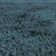 Tachiana Hand Tufted Shaggy Navy Area Rug