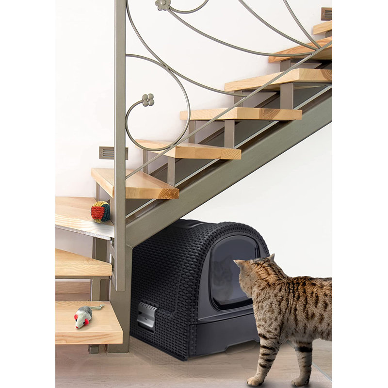 Curver Cat Litter Box, Anthracite